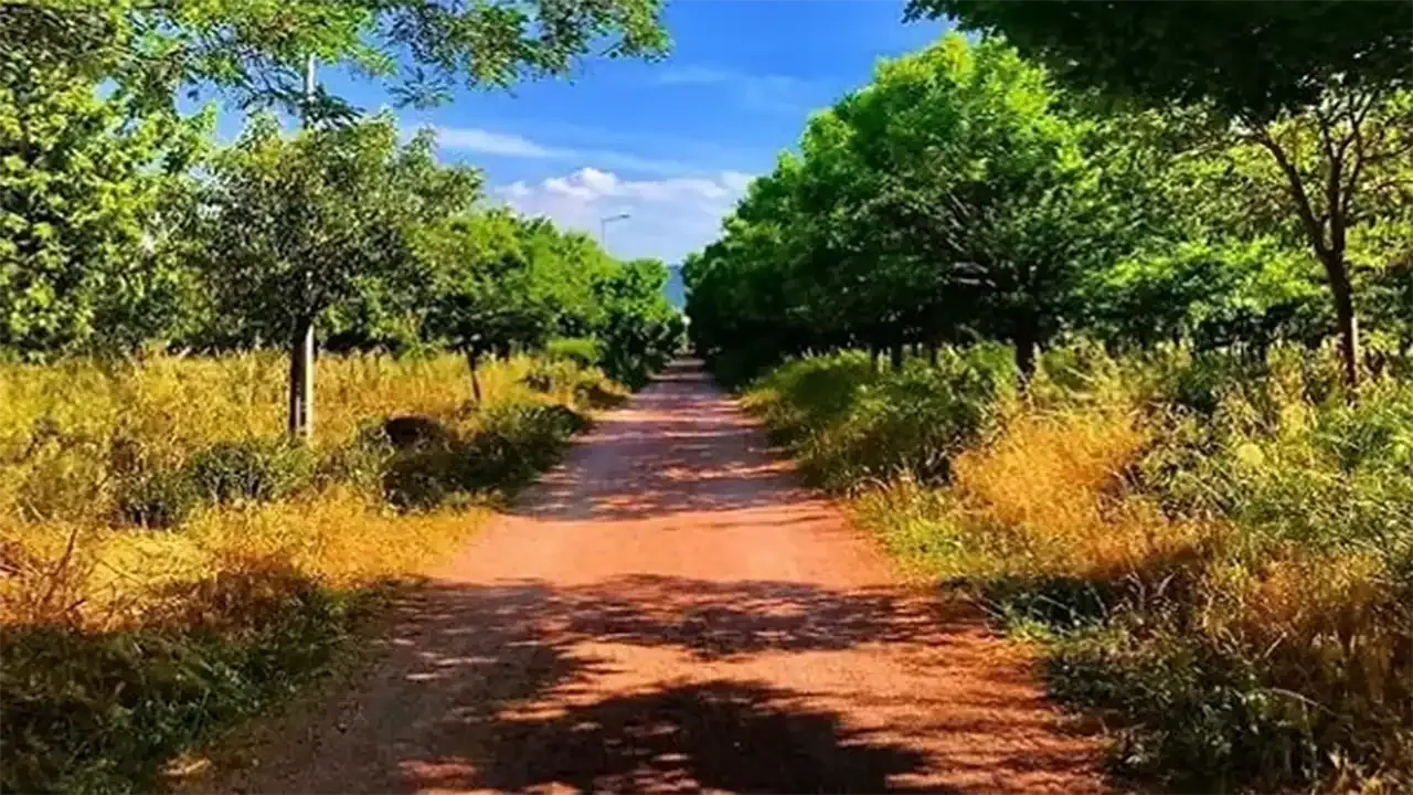 İnciraltı Kent Ormanı